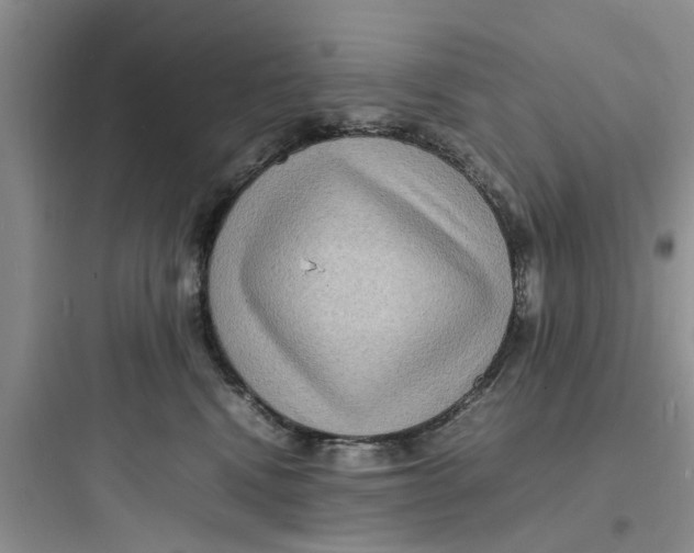 X0000097620472200803211750