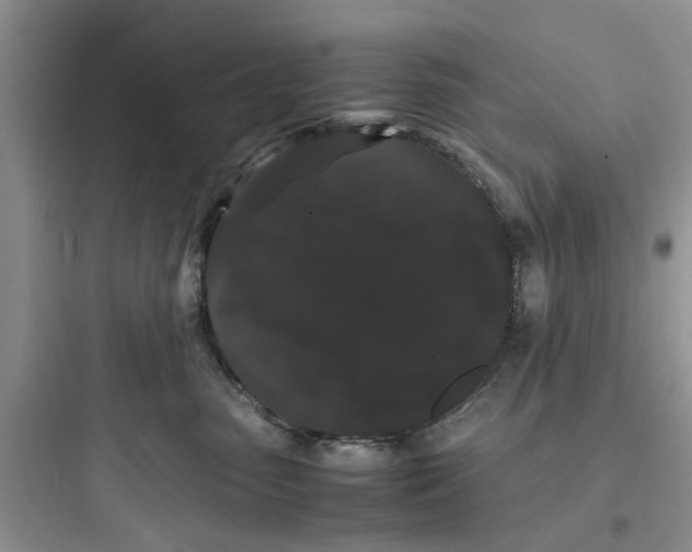 X0000097620475200803211750