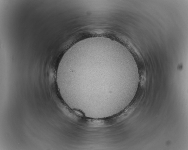 X0000097620476200803211750