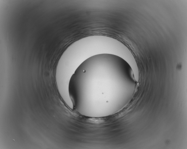 X0000097620477200803211750