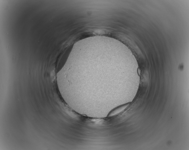 X0000097620478200803211750