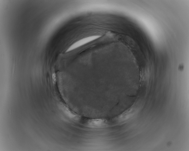 X0000097620479200803211750