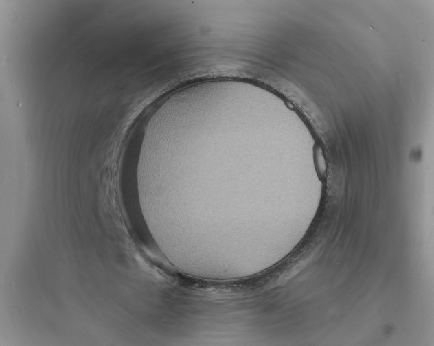 X0000097620481200803211749