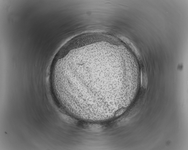 X0000097620483200803211749