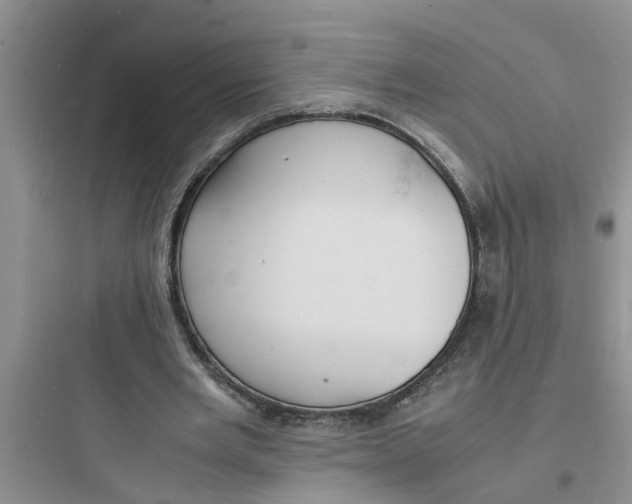 X0000097620485200803211749