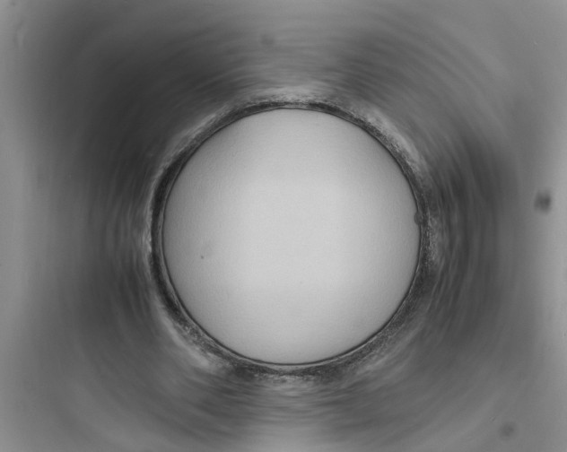 X0000097620486200803211749