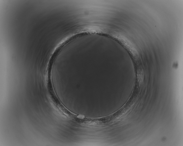 X0000097620488200803211749