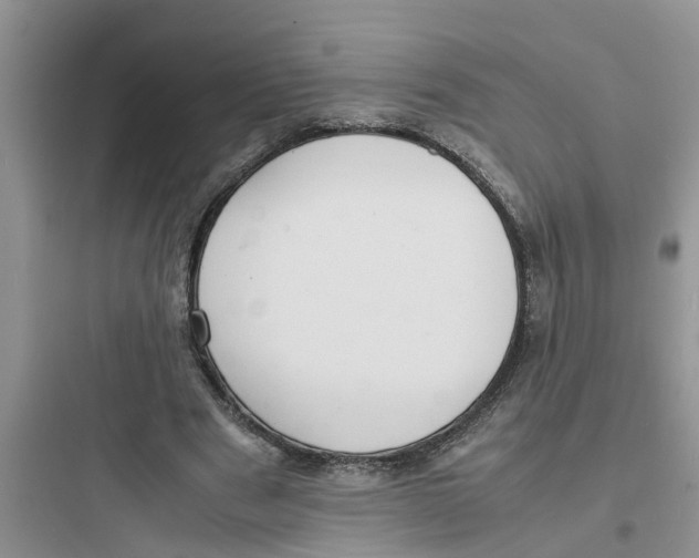 X0000097620489200803211749