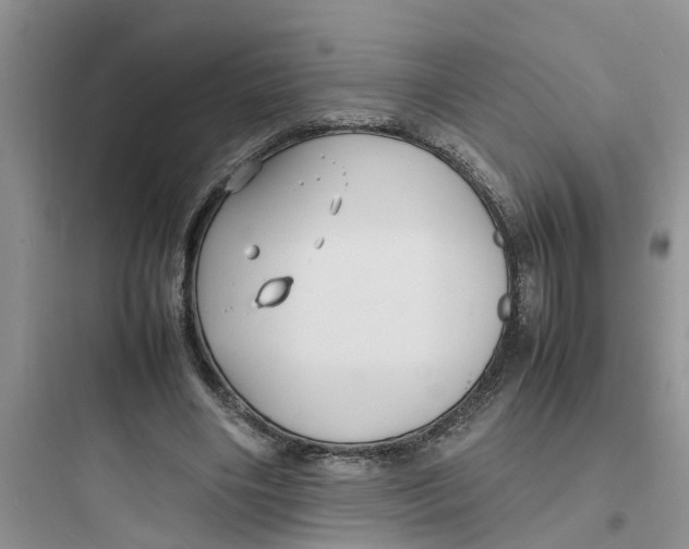 X0000097620490200803211749