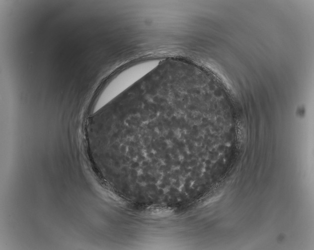 X0000097620491200803211749