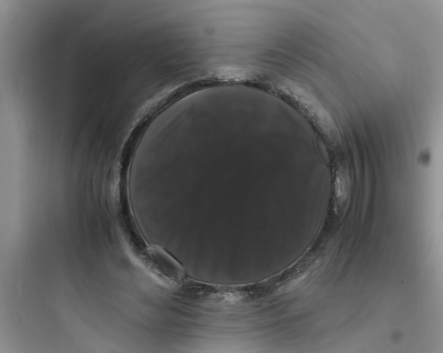 X0000097620492200803211749