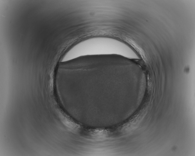X0000097620493200803211749