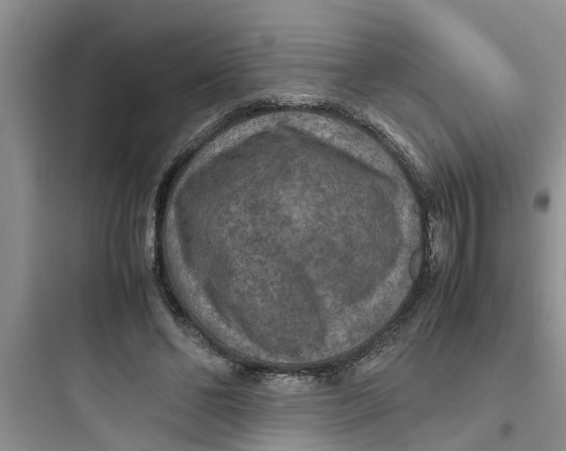 X0000097620494200803211749
