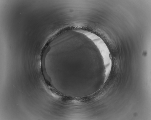 X0000097620496200803211749