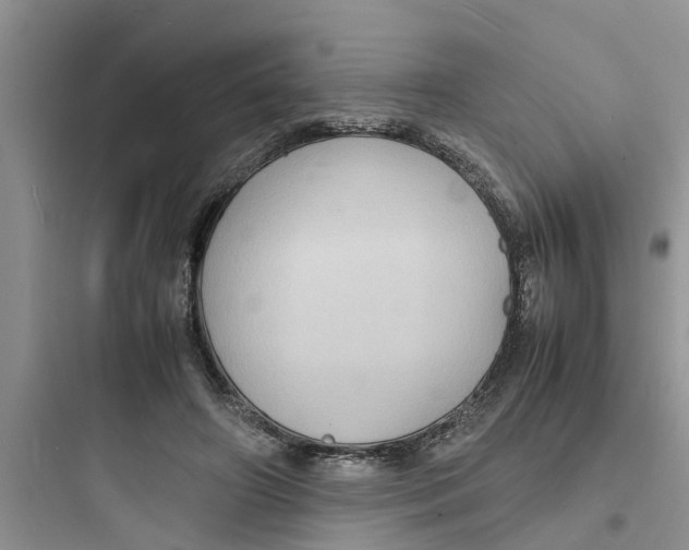 X0000097620498200803211749