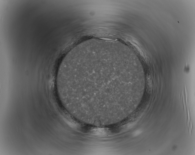 X0000097620499200803211749
