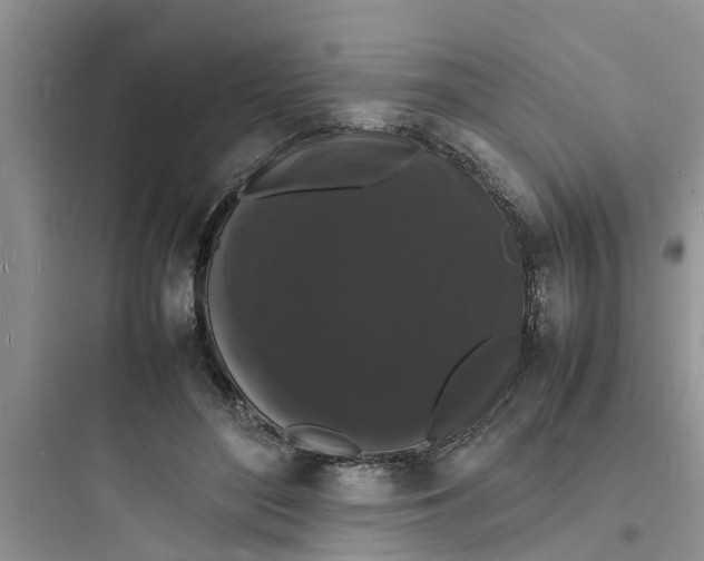 X0000097620500200803211749