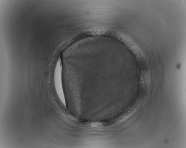 X0000097620501200803211749