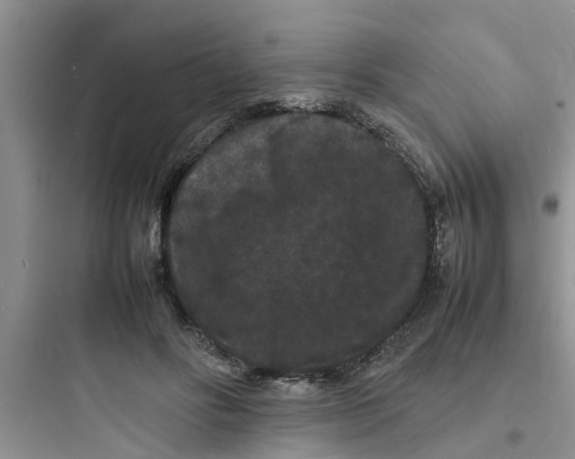 X0000097620502200803211749
