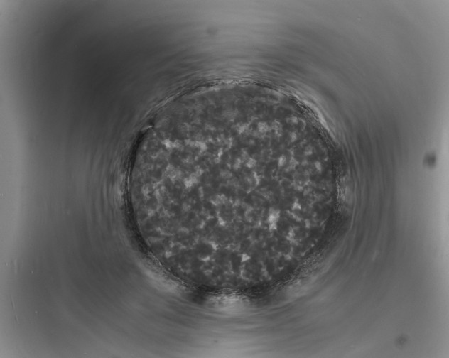 X0000097620503200803211749