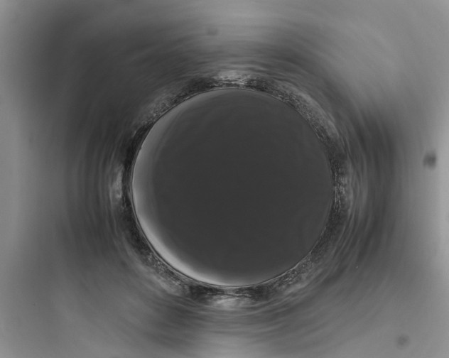 X0000097620504200803211749