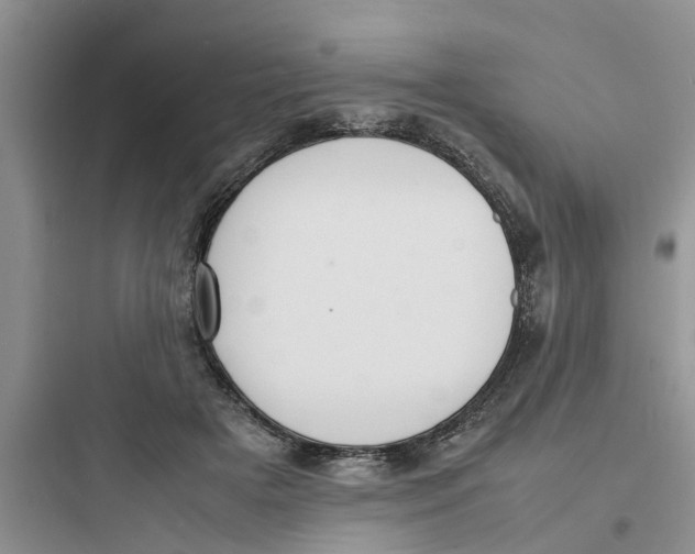 X0000097620505200803211749