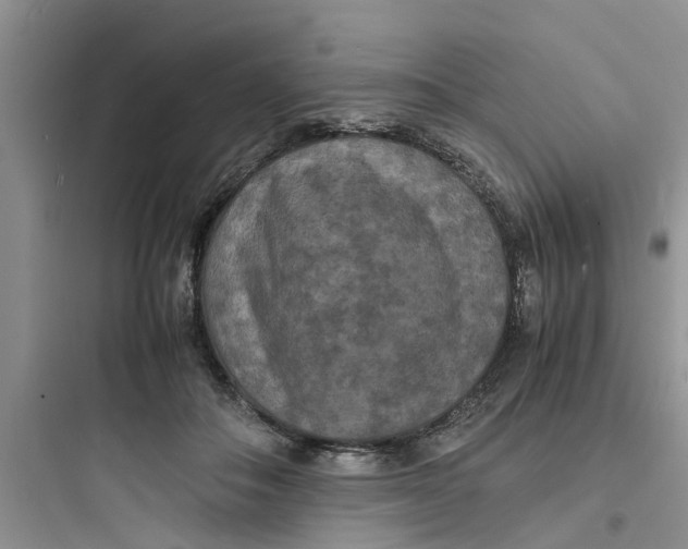 X0000097620506200803211749