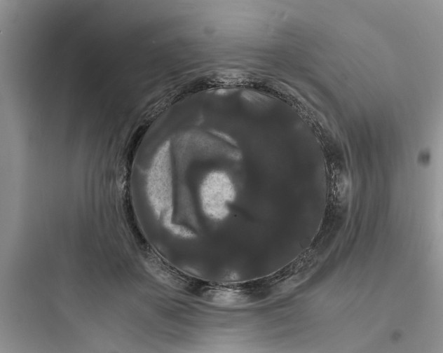 X0000097620507200803211749