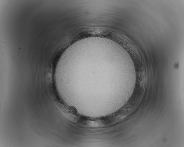 X0000097620510200803211749