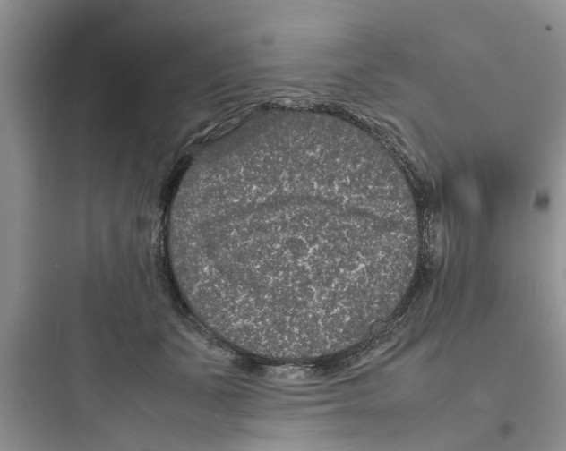 X0000097620511200803211749