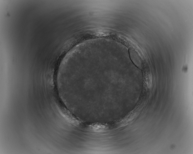 X0000097620512200803211749