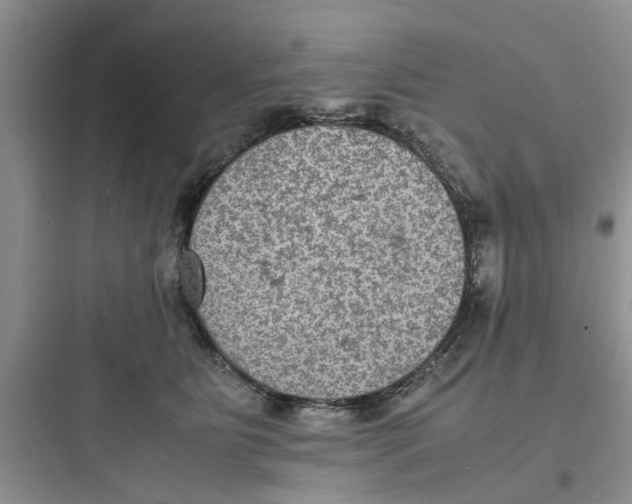 X0000097620515200803211748