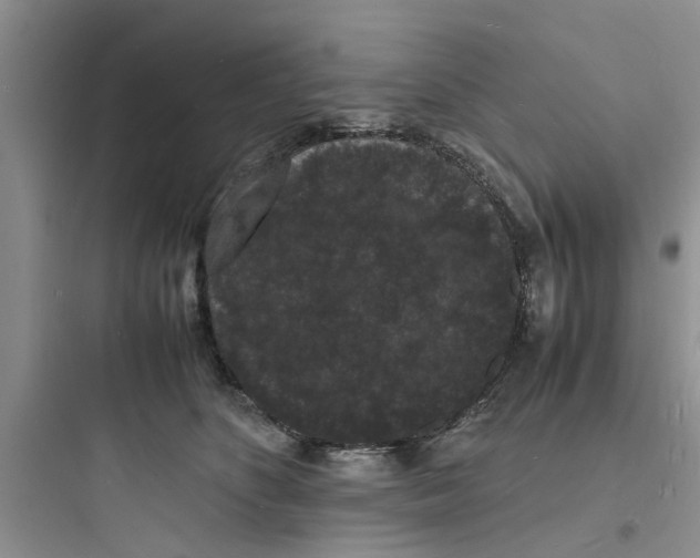 X0000097620516200803211748