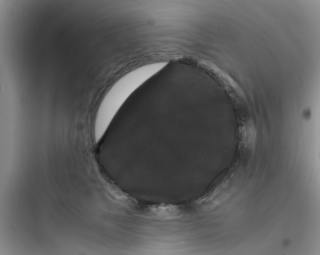 X0000097620517200803211748