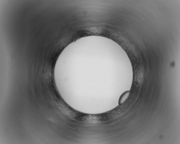 X0000097620518200803211748