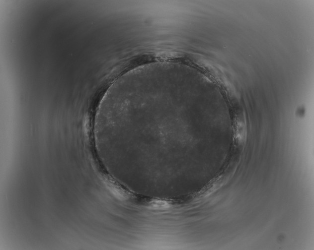 X0000097620519200803211748
