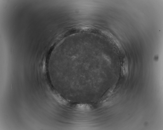X0000097620520200803211748