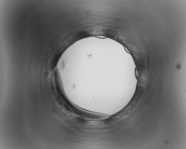 X0000097620521200803211748