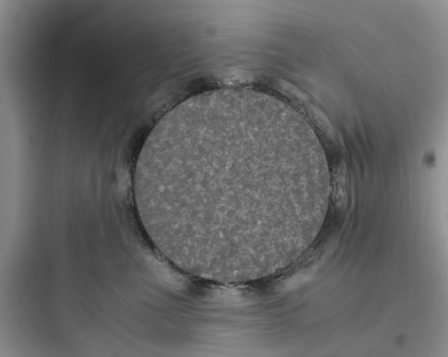 X0000097620523200803211748