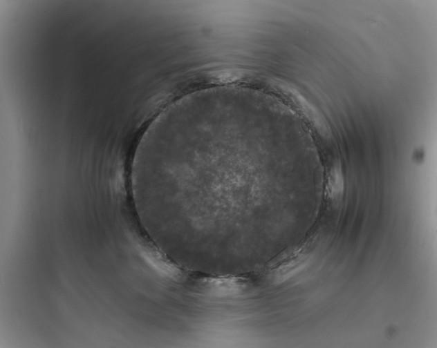 X0000097620524200803211748
