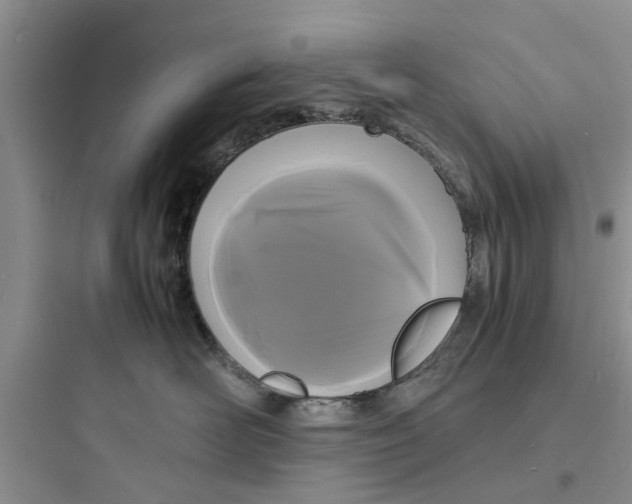 X0000097620526200803211748