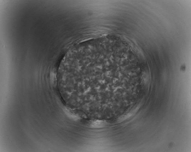 X0000097620527200803211748