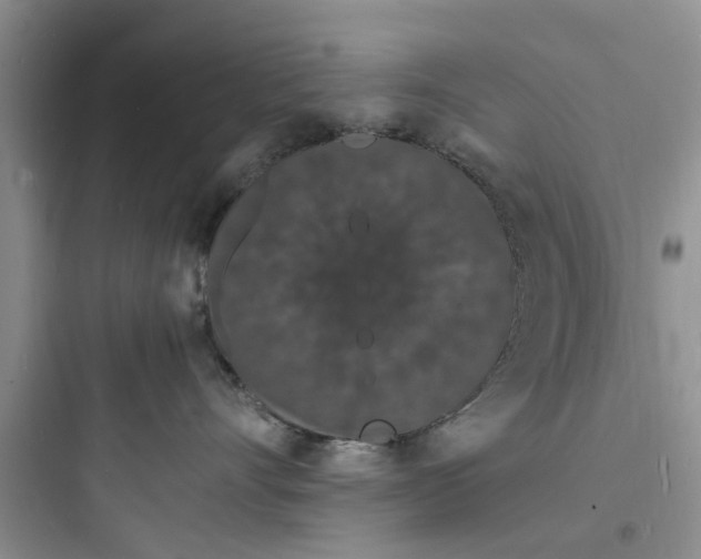 X0000097620528200803211748