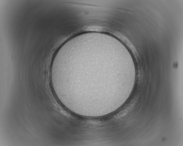 X0000097620529200803211748