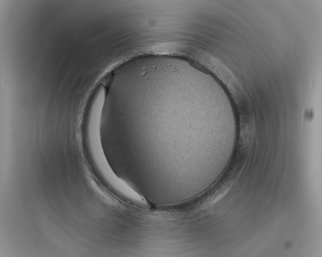 X0000097620530200803211748