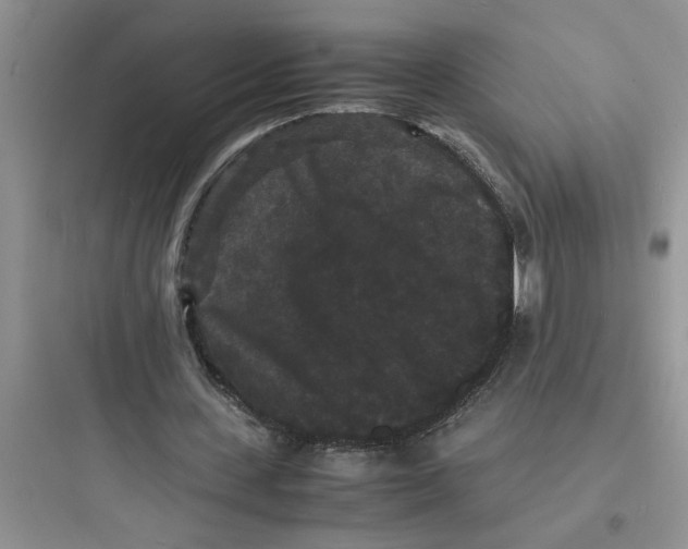 X0000097620531200803211748