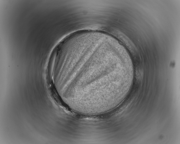 X0000097620532200803211748