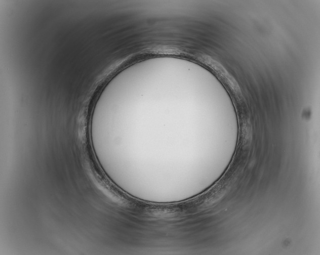 X0000097620533200803211748