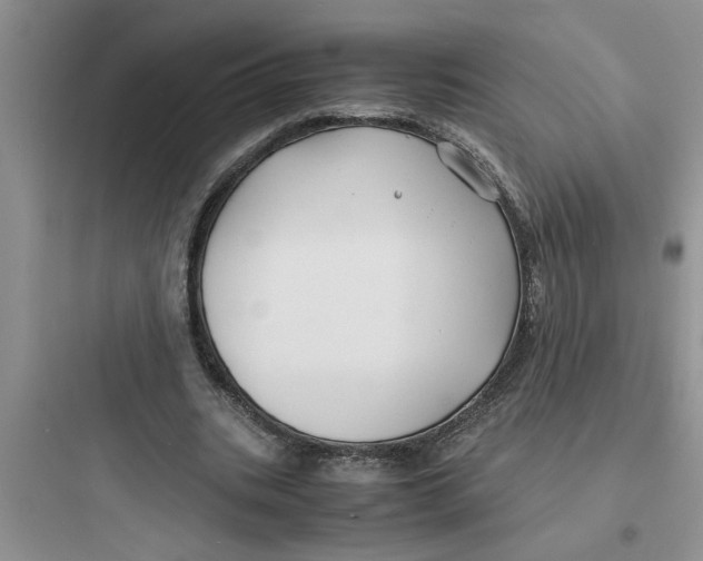 X0000097620535200803211748