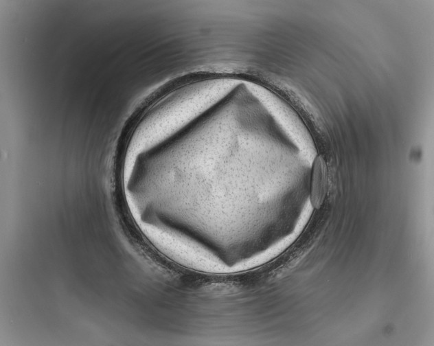 X0000097620536200803211748